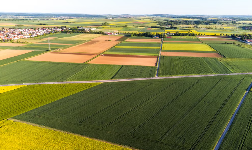 Paradigm shift needed in Kosovo’s agricultural subsidy system