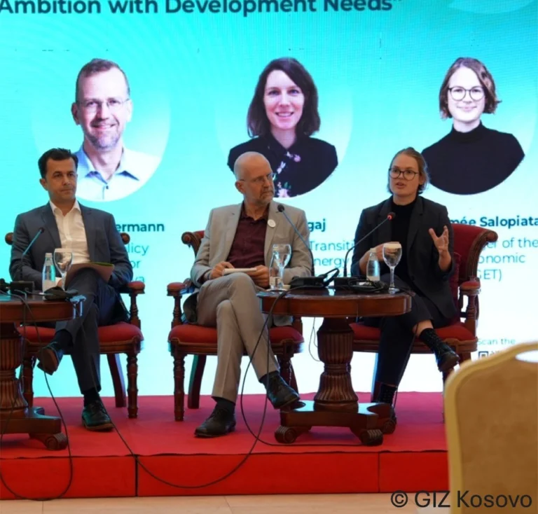 German Economic Team at Regional Forum on Climate Partnerships in the Western Balkans
