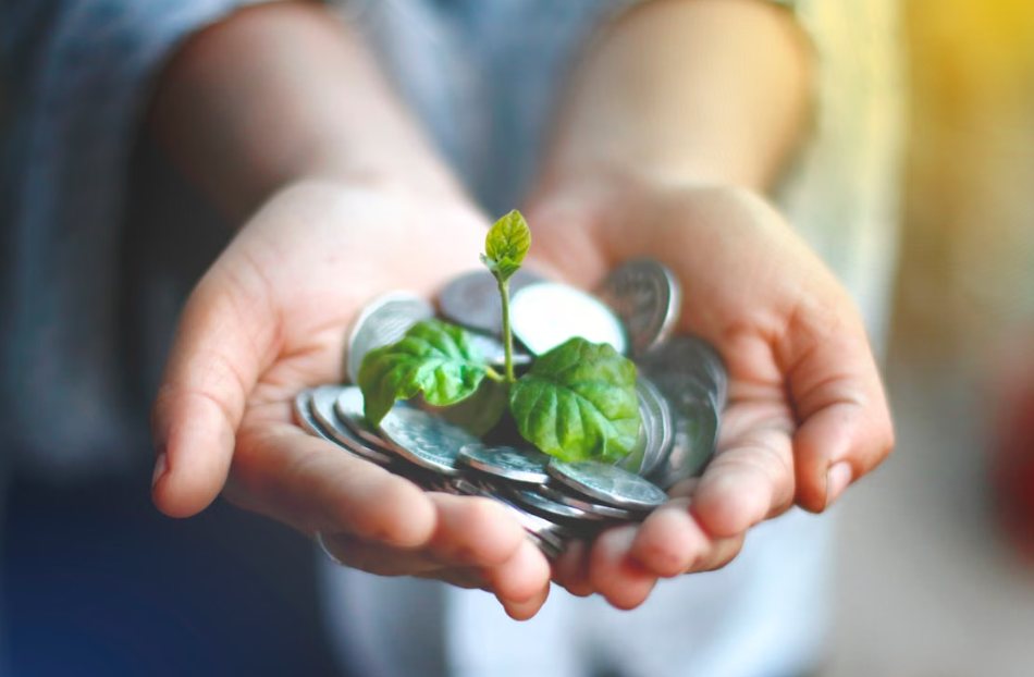 Building a Greener Kosovo: A Path to Sustainable Growth in a Rapidly Developing Landscape