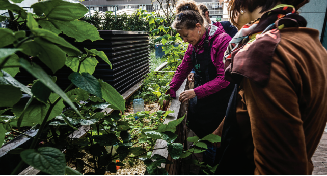 Just sustainability transitions — From concept to practice